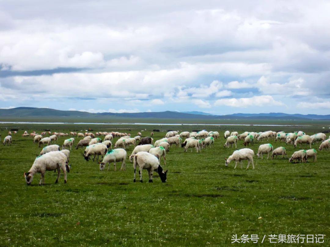 旅游景点游玩_旅游景点的门_上旅游景点