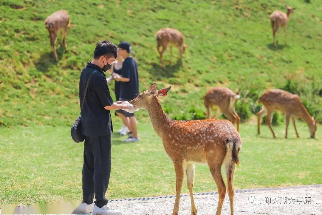 女发型御姐_东江湖旅游线路_传承人和继承人的区别