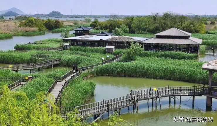 景点旅游上午去还是下午去_旅游景点游玩_上旅游景点