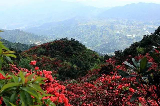 这季节旅游去哪好_这个季节最适合旅游的城市_各个季节适合旅游的城市