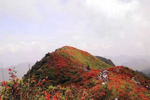 这个季节最适合旅游的城市_这季节旅游去哪好_各个季节适合旅游的城市