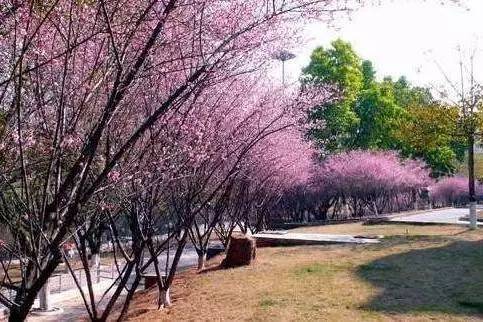 各个季节适合旅游的城市_这个季节最适合旅游的城市_这季节旅游去哪好