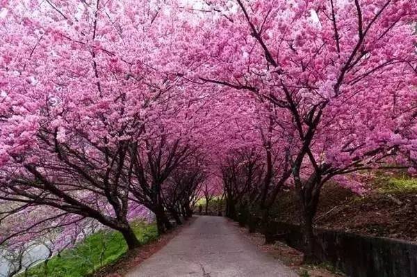 这季节旅游去哪好_这个季节最适合旅游的城市_各个季节适合旅游的城市