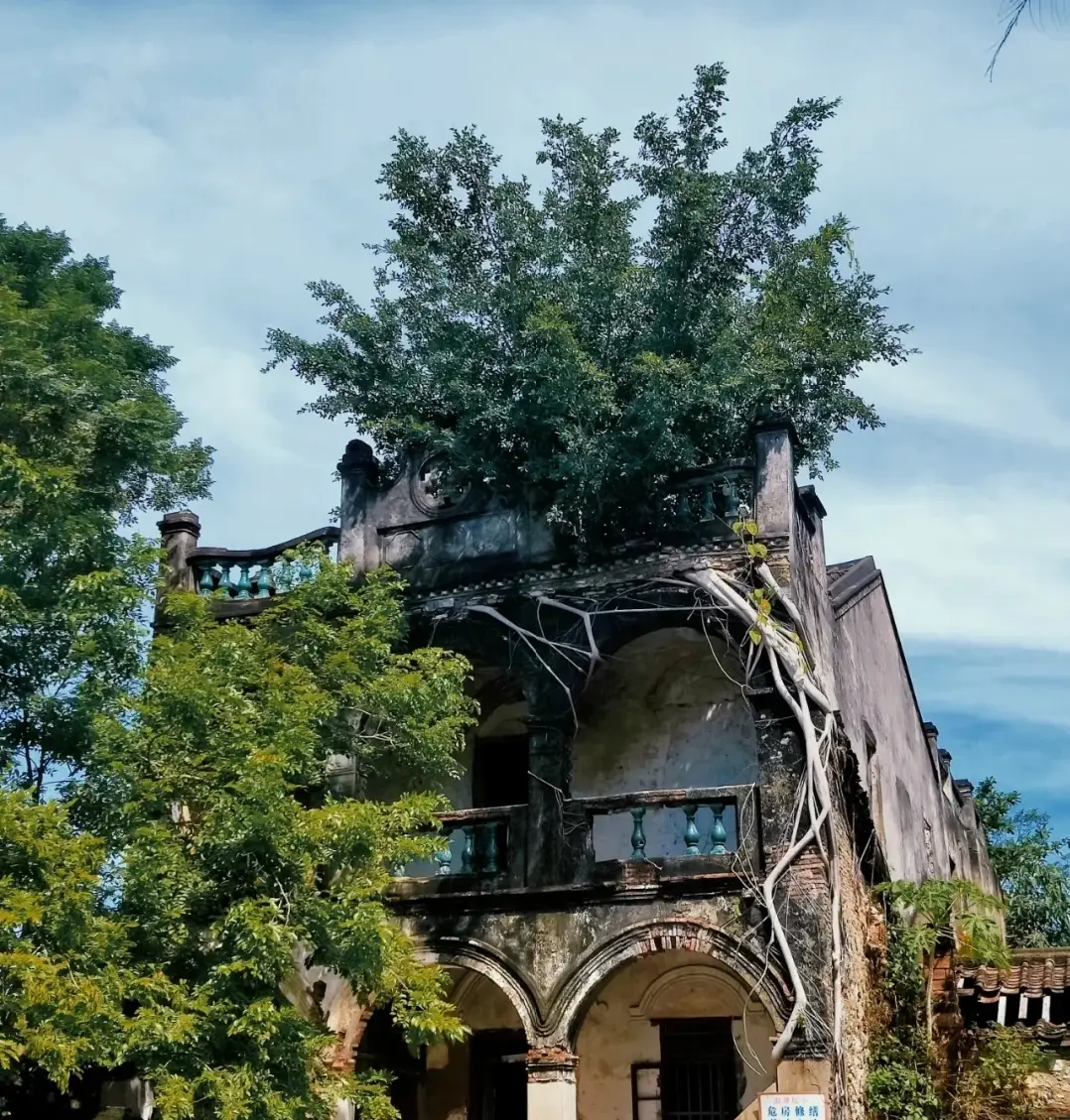 童话村旅游景点攻略_童话景区_童话森林景区