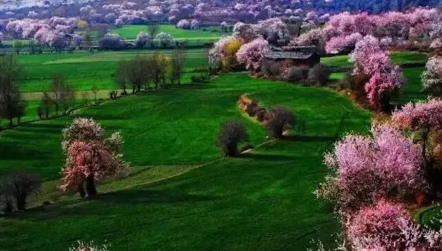 嘉兴季节旅游适合去哪里_嘉兴适合几月份去_嘉兴适合旅游的季节