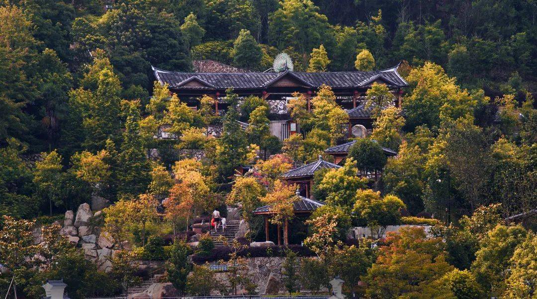 福建免费旅游必去十大景点_五一福建免费旅游景点推荐_福建旅游免费地方