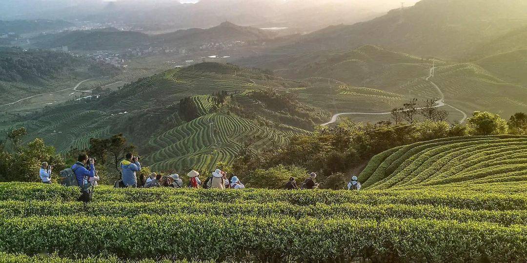 福建免费旅游必去十大景点_福建旅游免费地方_五一福建免费旅游景点推荐