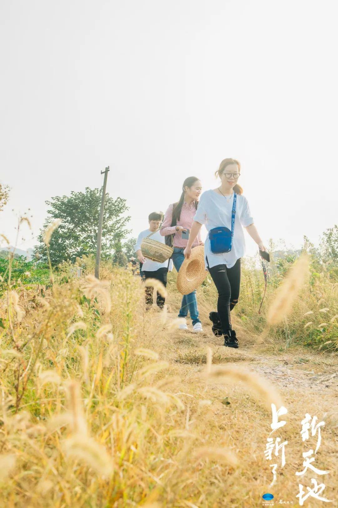 苏州吴中旅游年卡景点_苏州旅游攻略吴中区_苏州吴中区旅游家庭卡