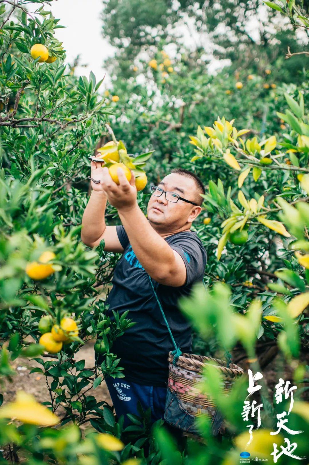 苏州旅游攻略吴中区_苏州吴中旅游年卡景点_苏州吴中区旅游家庭卡