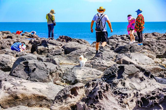 山东个人旅游_山东旅游个人信息查询_山东旅游个人收入排名