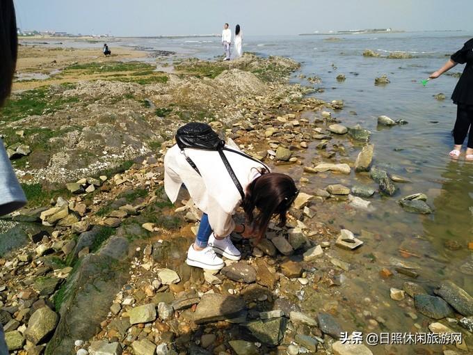 旅游山东省_山东旅游个人收入排名_山东个人旅游