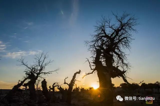 嘉峪关适合玩几天_嘉峪关旅游什么季节最好_嘉峪关玩什么