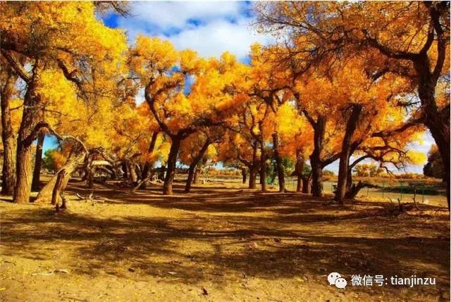 嘉峪关玩什么_嘉峪关适合玩几天_嘉峪关旅游什么季节最好