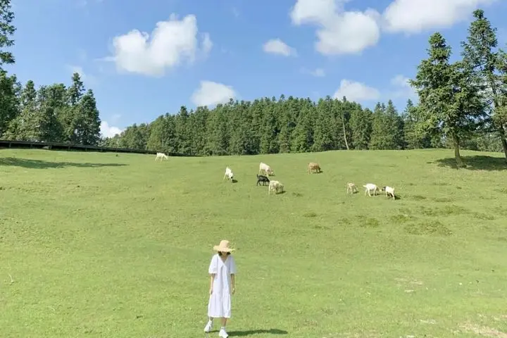 重庆武隆旅游攻略三日游_重庆武隆旅游线路_自由行重庆武隆旅游攻略