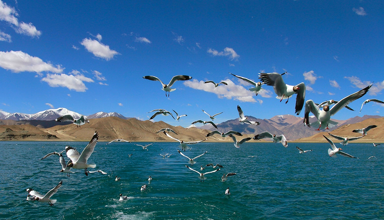 嘉峪关旅游旺季_嘉峪关旅游什么季节最好_嘉峪关适合玩几天