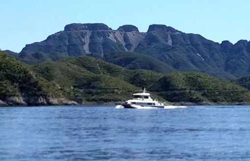 丰县团建策划_丰县公司团建旅游_公司团建旅游是什么意思