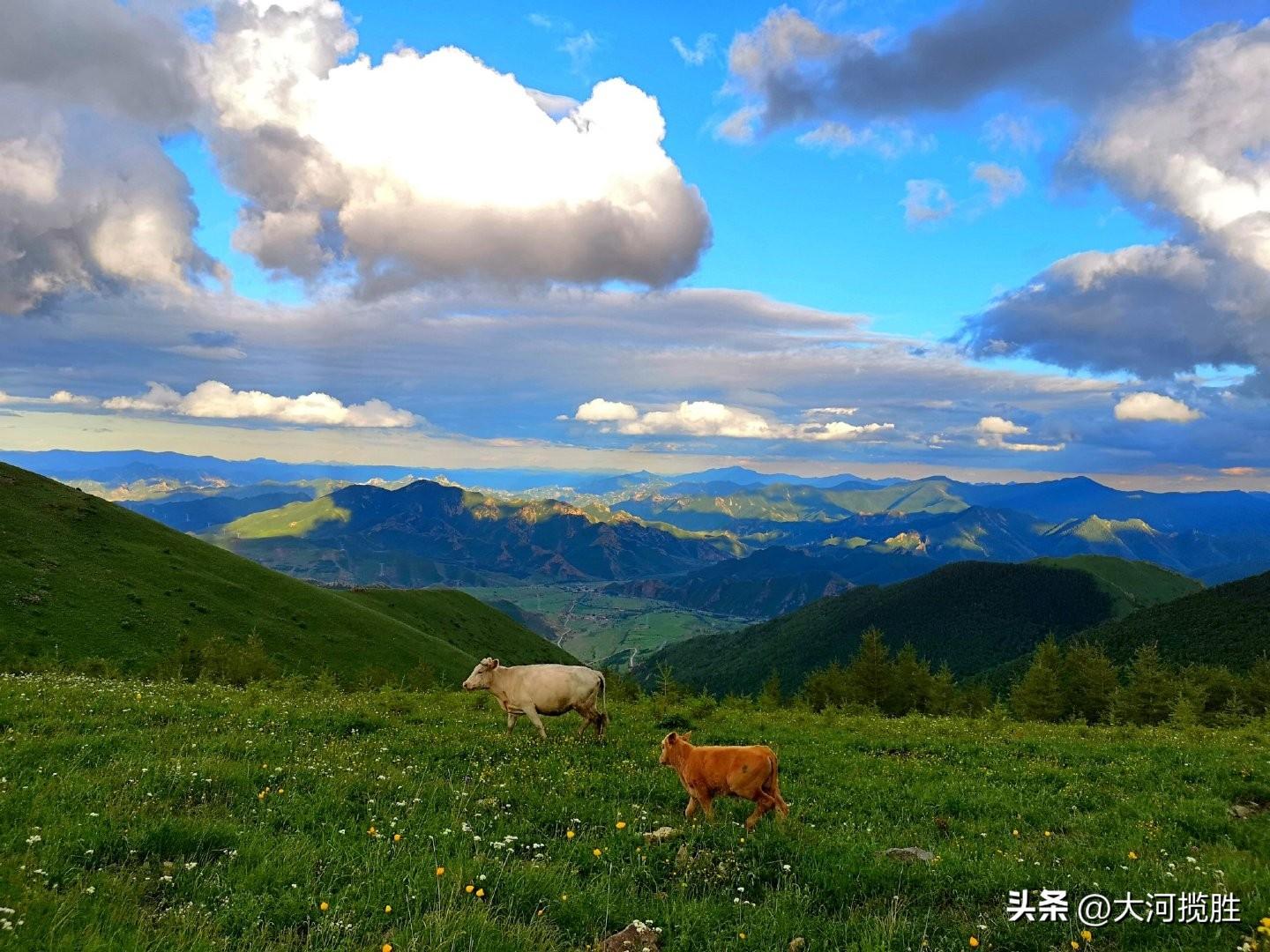 旅游地区域介绍_旅游地介绍模板_旅游区景点介绍