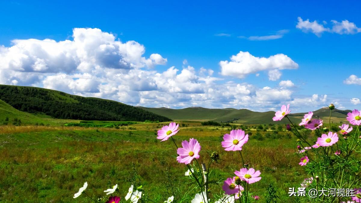 旅游地区域介绍_旅游区景点介绍_旅游地介绍模板