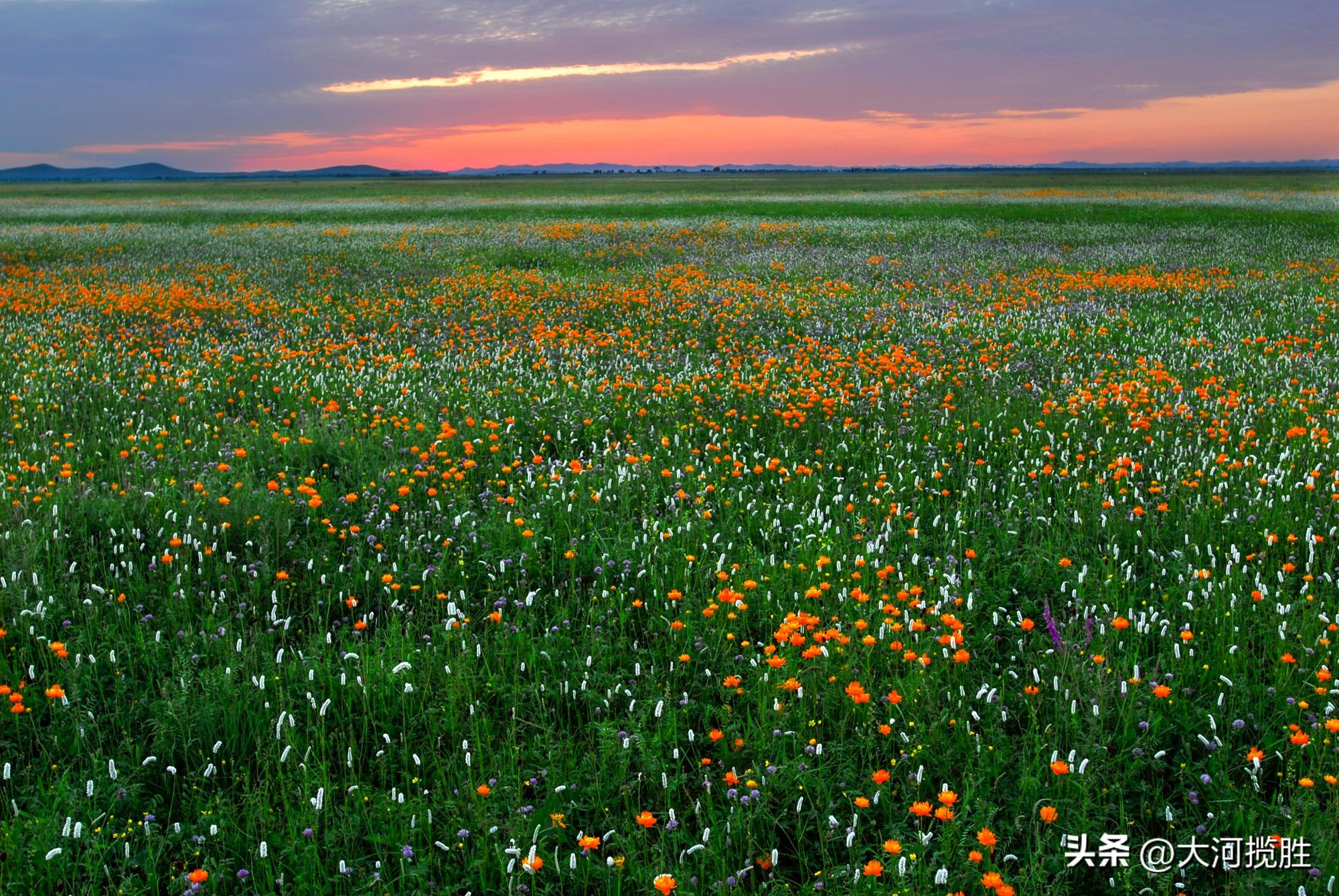 旅游区景点介绍_旅游地区域介绍_旅游地介绍模板