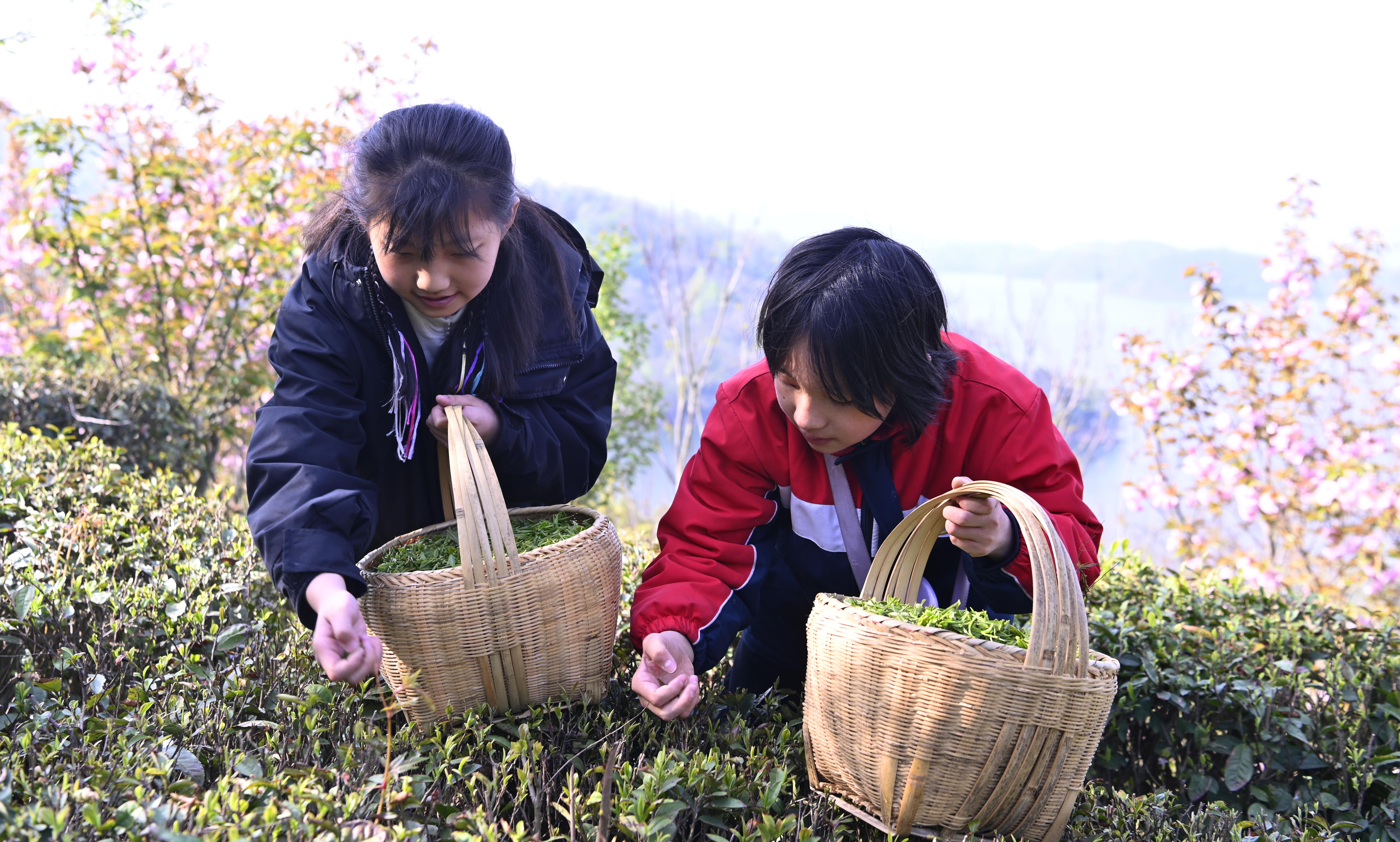 季节旅游新县好玩吗_季节旅游新县好玩的地方_新县旅游哪个季节好