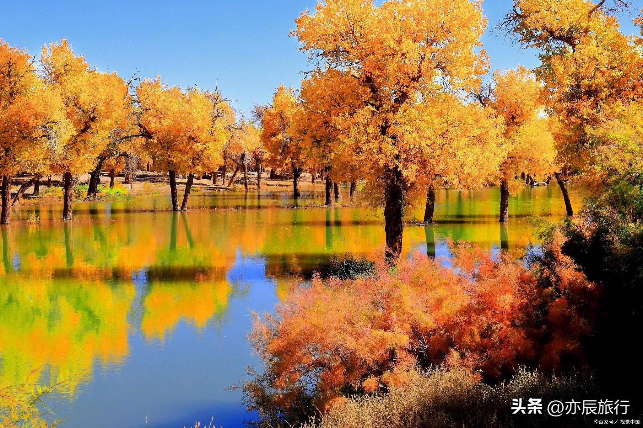 互助景点县旅游有哪些地方_互助县旅游景点有哪些_互助的旅游景点