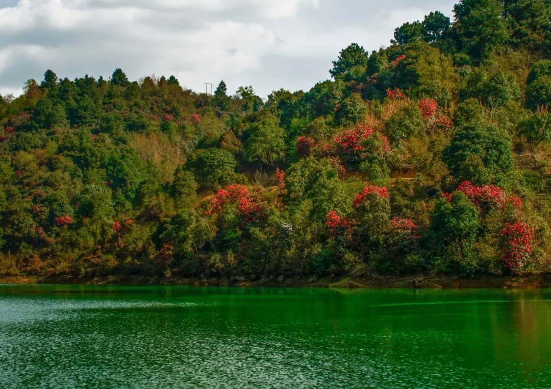 杜鹃湖最佳旅游时节_杜鹃湖风景区_杜鹃湖湿地公园