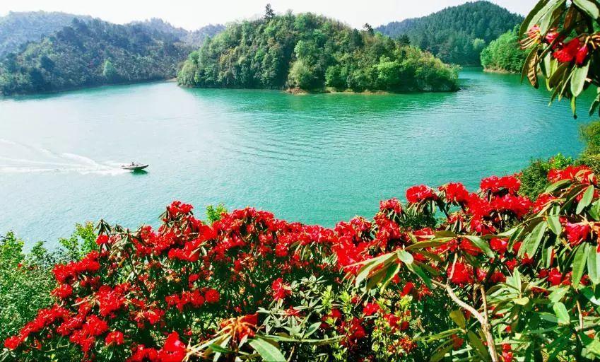 杜鹃湖风景区_杜鹃湖湿地公园_杜鹃湖最佳旅游时节