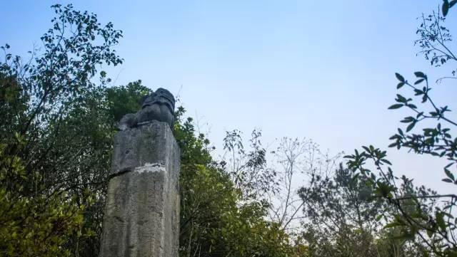 杜鹃湖湿地公园_杜鹃湖最佳旅游时节_杜鹃湖风景区