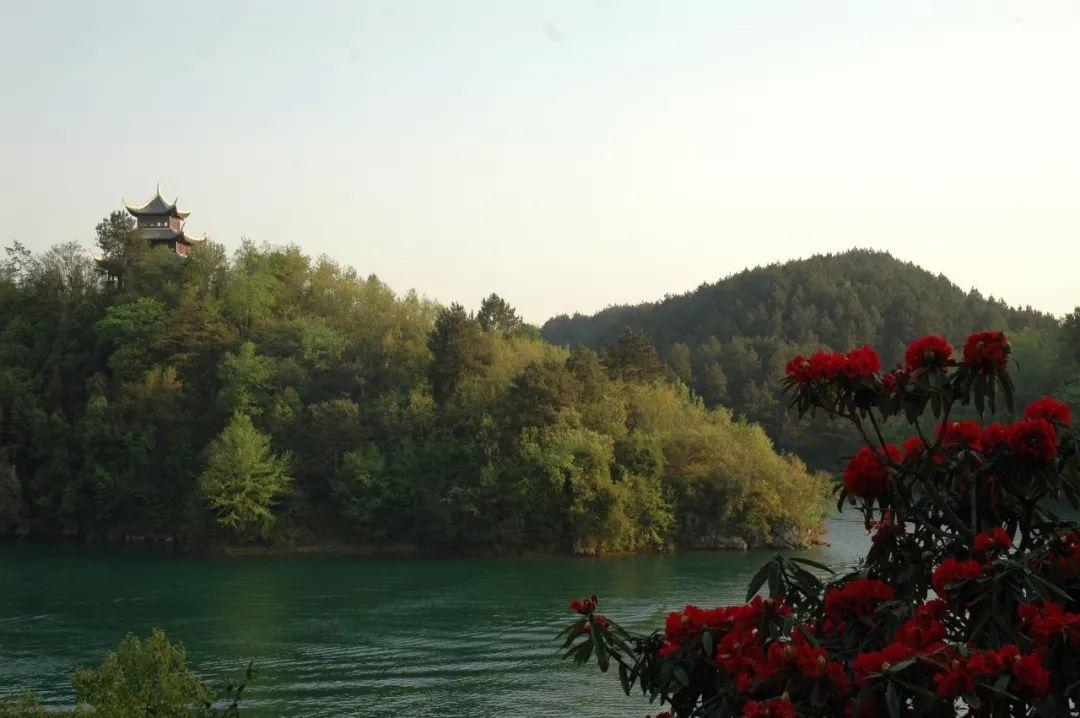 杜鹃湖湿地公园_杜鹃湖最佳旅游时节_杜鹃湖风景区