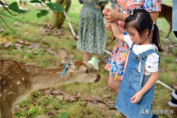 清远旅游亲子家庭_家庭亲子照片_家庭中的亲子沟通