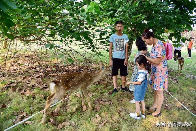 清远旅游亲子家庭_家庭中的亲子沟通_家庭亲子照片