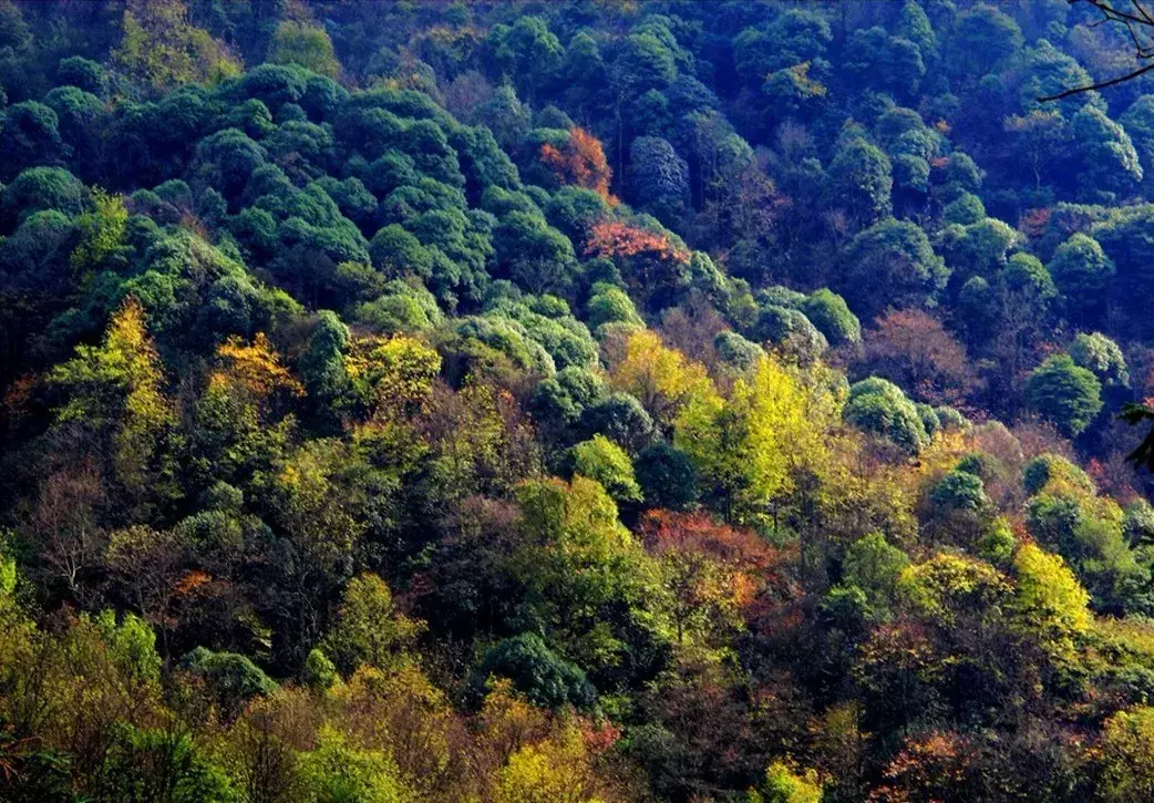 杜鹃湖门票_杜鹃湖最佳旅游时节_杜鹃湖怎么样