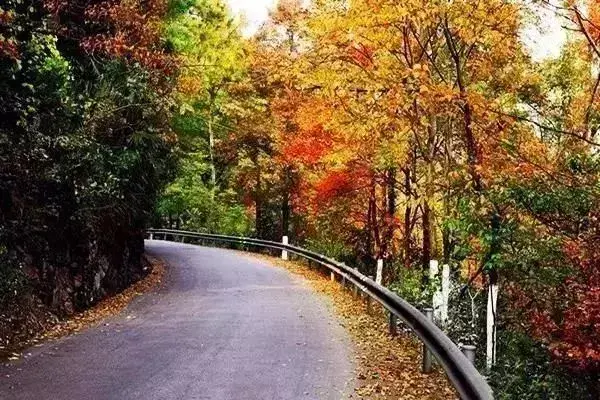 杜鹃湖最佳旅游时节_杜鹃湖门票_杜鹃湖怎么样