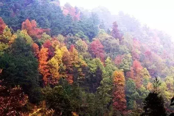 杜鹃湖怎么样_杜鹃湖最佳旅游时节_杜鹃湖门票