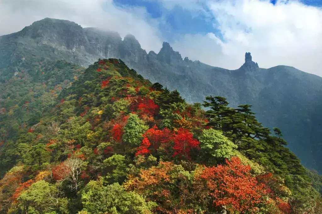 杜鹃湖门票_杜鹃湖怎么样_杜鹃湖最佳旅游时节