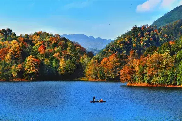 杜鹃湖怎么样_杜鹃湖门票_杜鹃湖最佳旅游时节