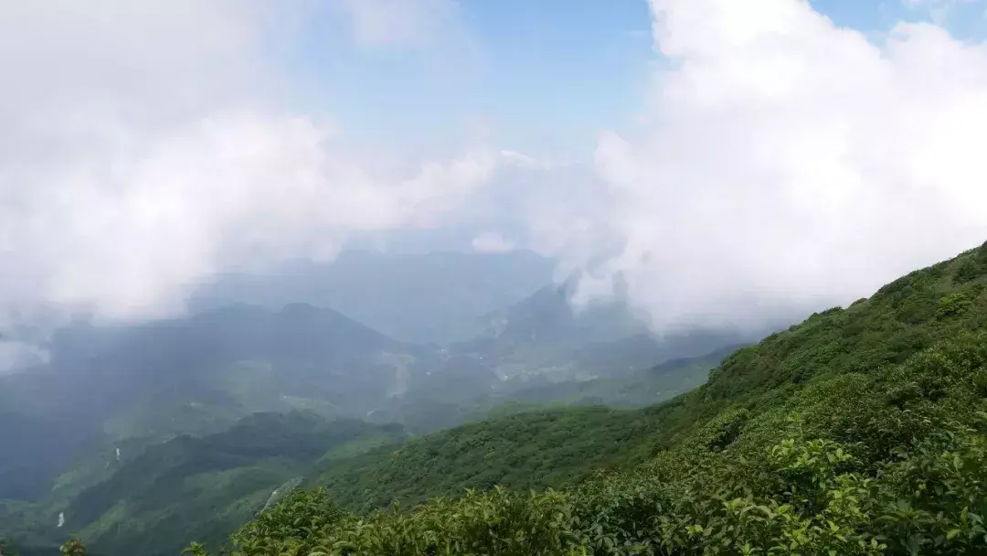 杜鹃湖最佳旅游时节_杜鹃湖怎么样_杜鹃湖门票