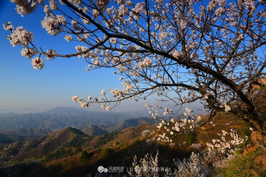 金山岭长城几月份有云雾_金山岭长城什么时候去最好_金山岭长城最佳旅游季节