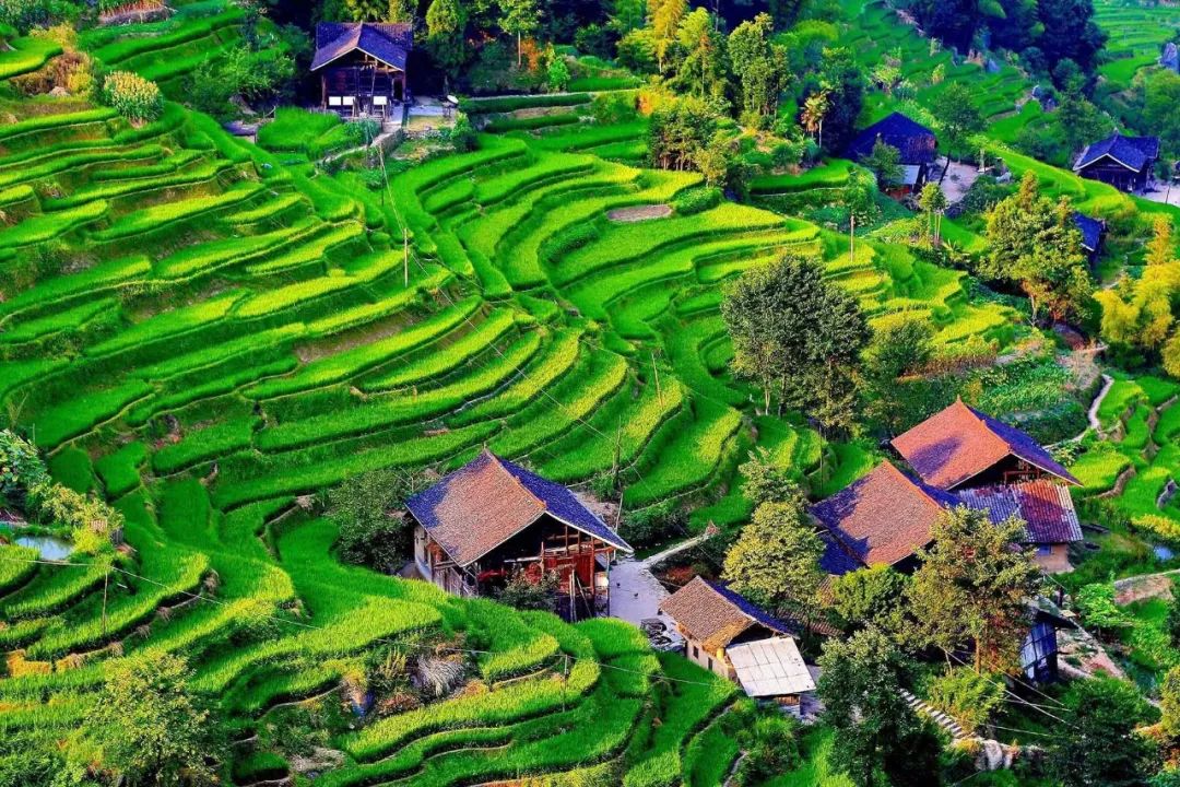 娄底附近景区_娄底附近旅游景区哪里好玩_娄底附近旅游景点