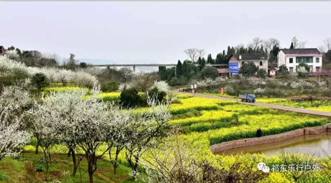 衡阳旅游简介_衡阳旅游特色介绍_衡阳特色旅游介绍作文