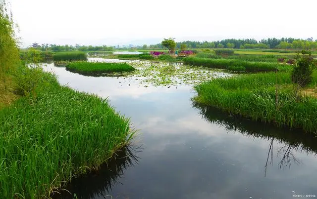 山东菏泽旅游景点大全_山东菏泽景点有哪些_山东菏泽旅游景点大全景点排名