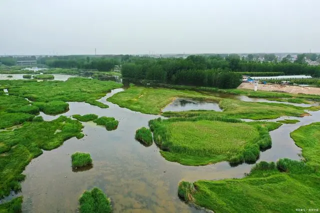 山东菏泽旅游景点大全景点排名_山东菏泽旅游景点大全_山东菏泽景点有哪些