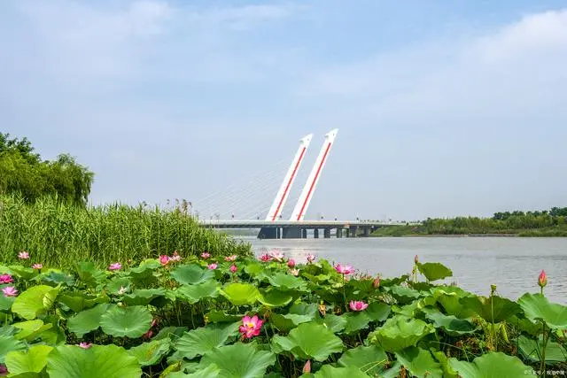 山东菏泽景点有哪些_山东菏泽旅游景点大全_山东菏泽旅游景点大全景点排名