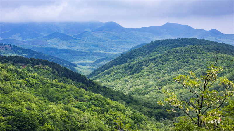 野河山景区.jpg