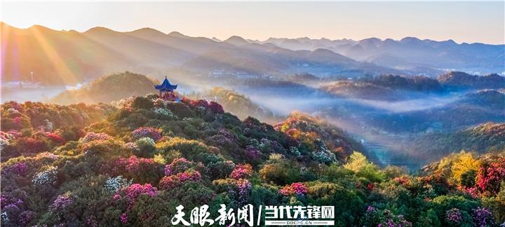 多彩贵州旅游攻略_多彩贵州旅游网_多彩贵州旅游线路