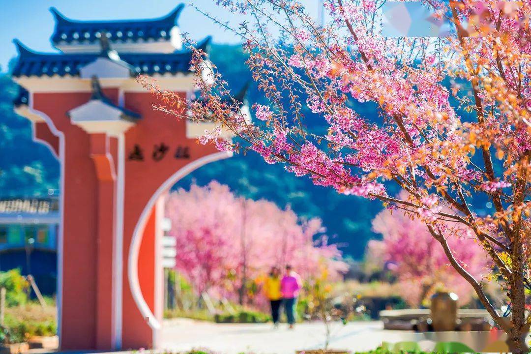 攀枝花旅游必去景点交通攻略_攀枝花旅游线路_攀枝花旅游线路设计