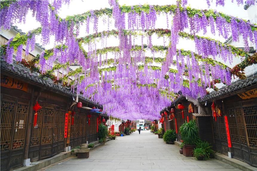 最美季节婺源旅游图片_婺源最佳旅游季节_婺源最美的旅游季节