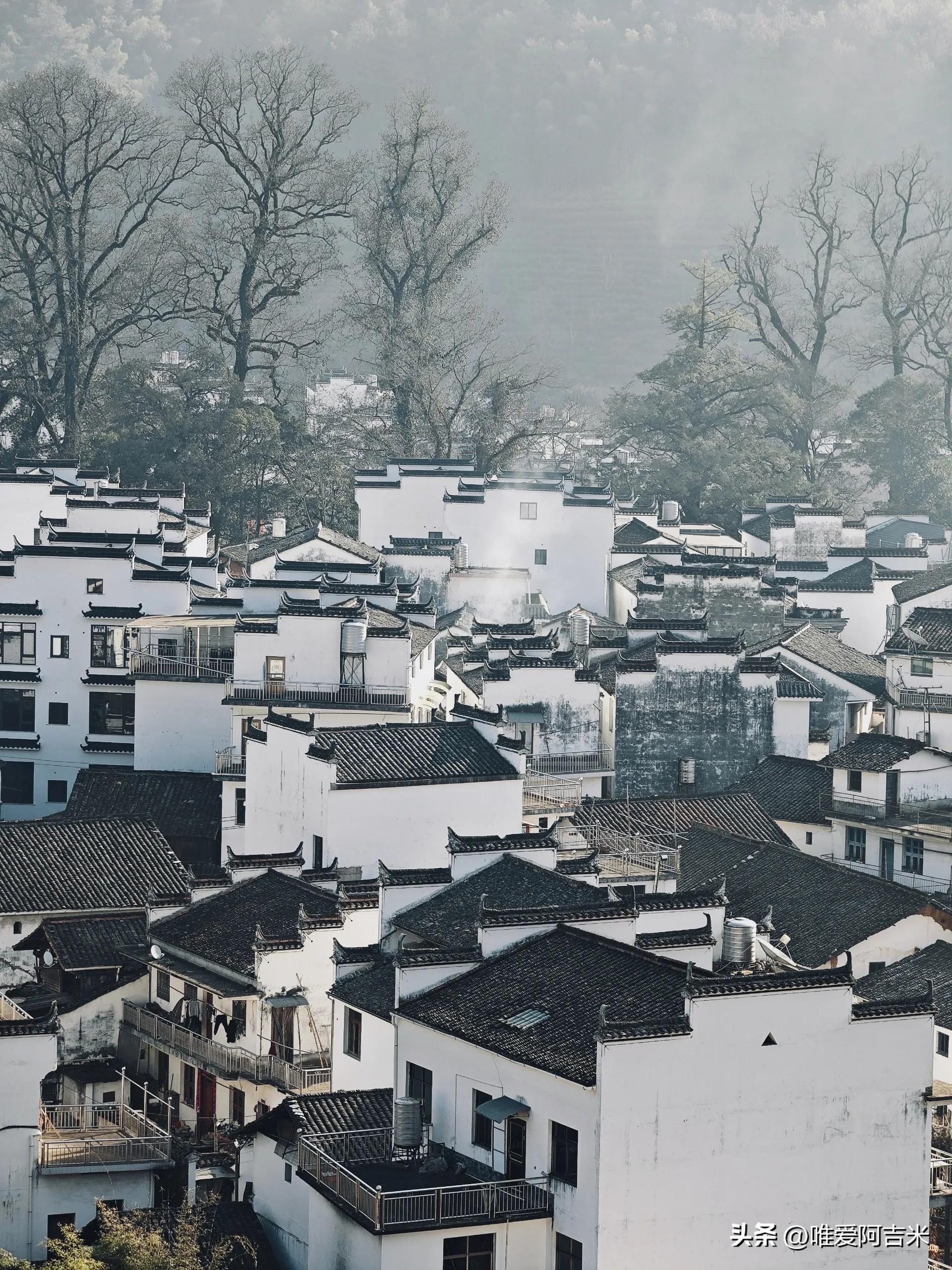 最美季节婺源旅游图片_婺源最美的旅游季节_婺源最佳旅游季节