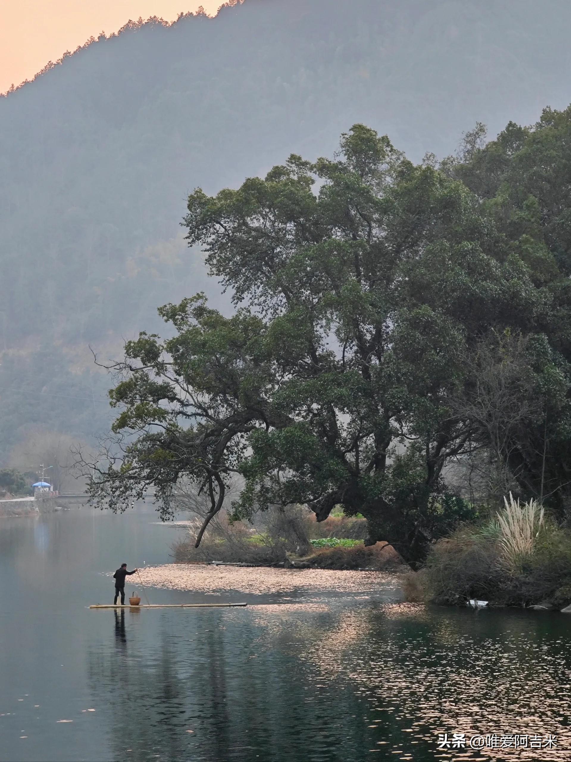 婺源最美的旅游季节_婺源最佳旅游季节_最美季节婺源旅游图片