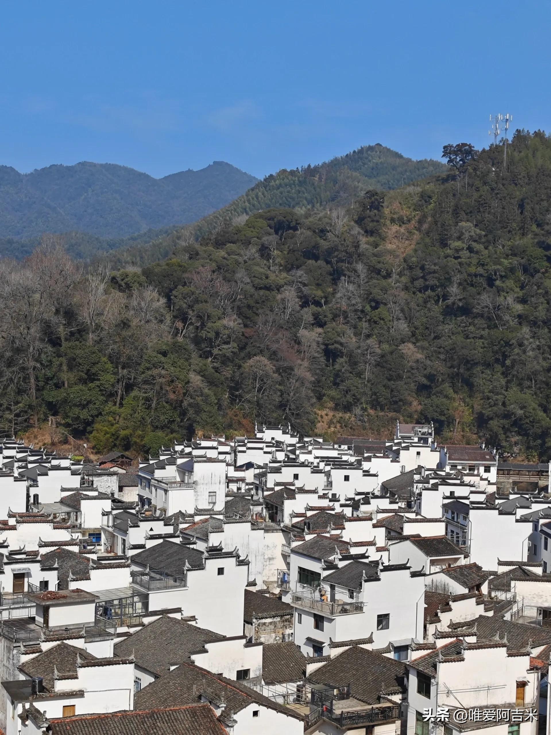 婺源最佳旅游季节_最美季节婺源旅游图片_婺源最美的旅游季节